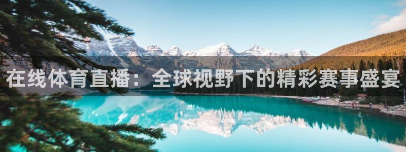 在线体育直播：全球视野下的精彩赛事盛宴