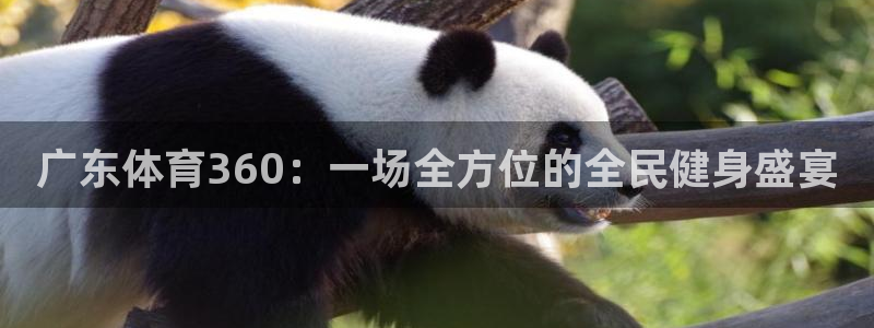 广东体育360：一场全方位的全民健身盛宴