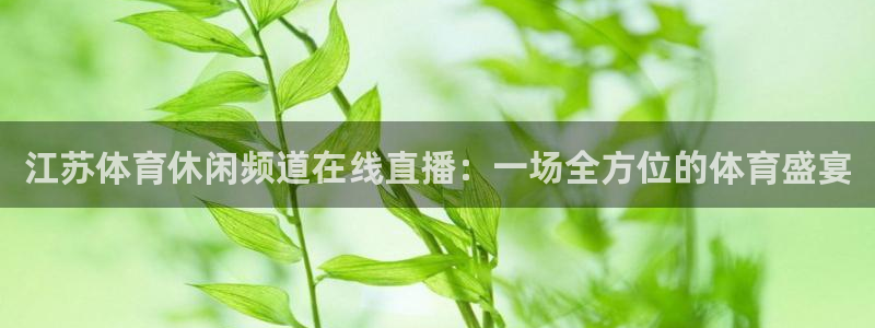 江苏体育休闲频道在线直播：一场全方位的体育盛宴