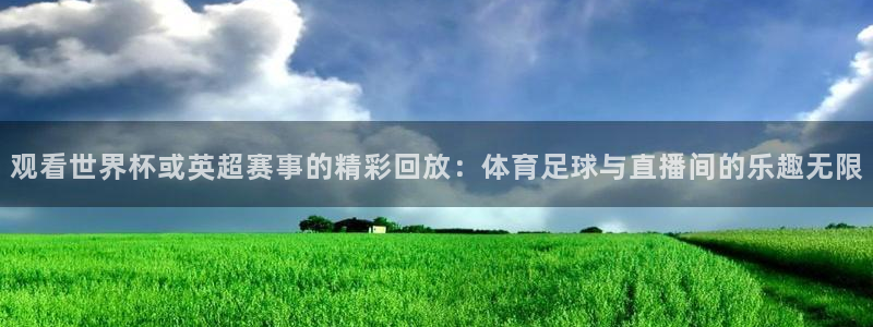 观看世界杯或英超赛事的精彩回放：体育足球与直播间的乐趣无限
