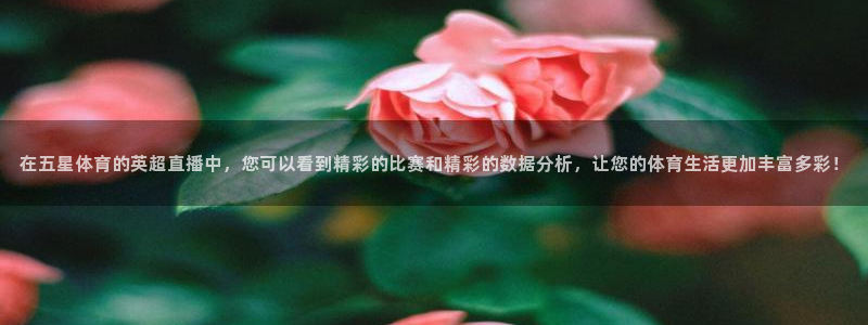 在五星体育的英超直播中，您可以看到精彩的比赛和精彩的数据分析，让您的体育生活更加丰富多彩！