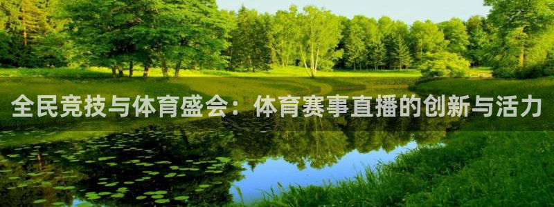 全民竞技与体育盛会：体育赛事直播的创新与活力