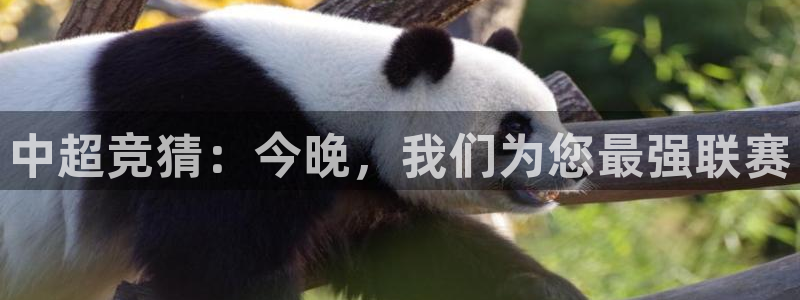 中超竞猜：今晚，我们为您最强联赛