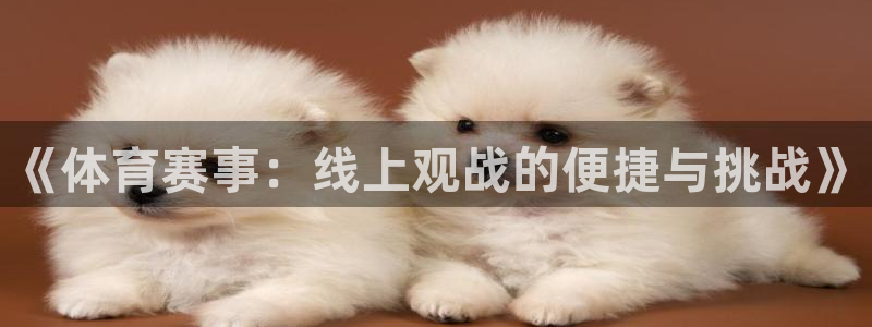 《体育赛事：线上观战的便捷与挑战》