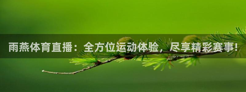 雨燕体育直播：全方位运动体验，尽享精彩赛事!
