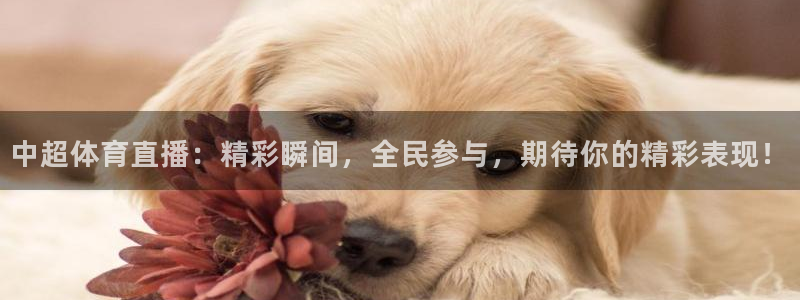 中超体育直播：精彩瞬间，全民参与，期待你的精彩表现！